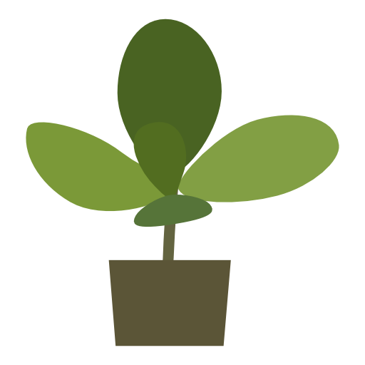 BonsaiTrees.ee